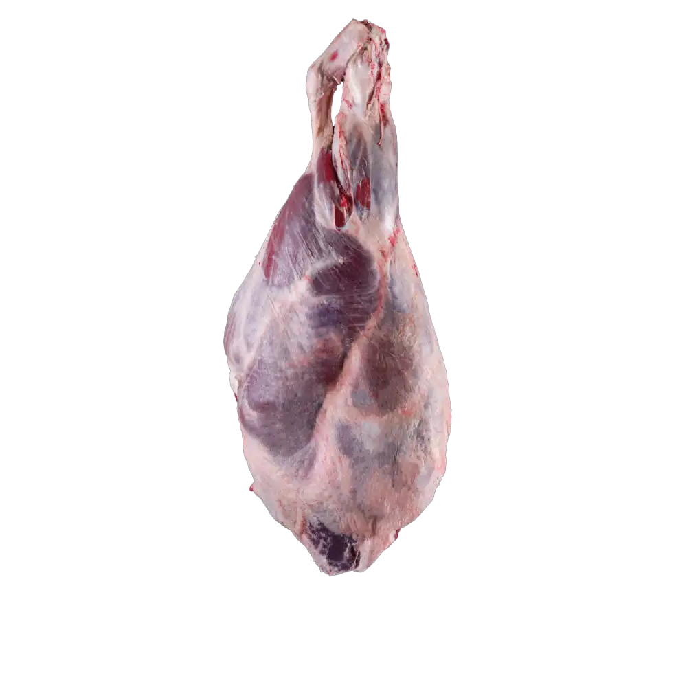 DANA KISA BUT