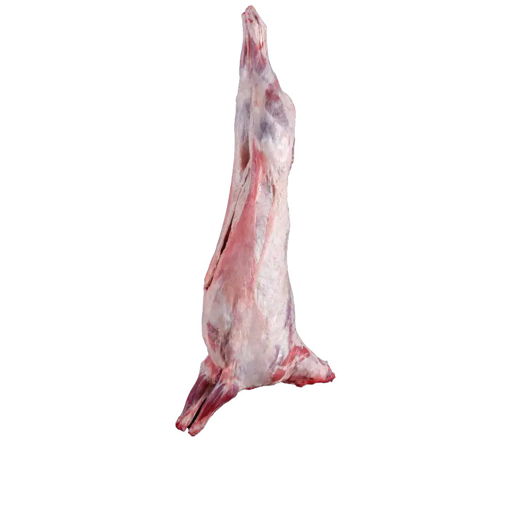 Kuzu karkas